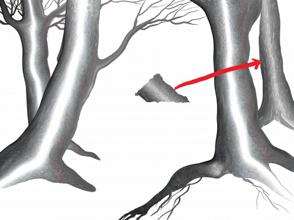 Creation of Rays of life: Step 3